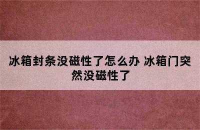 冰箱封条没磁性了怎么办 冰箱门突然没磁性了